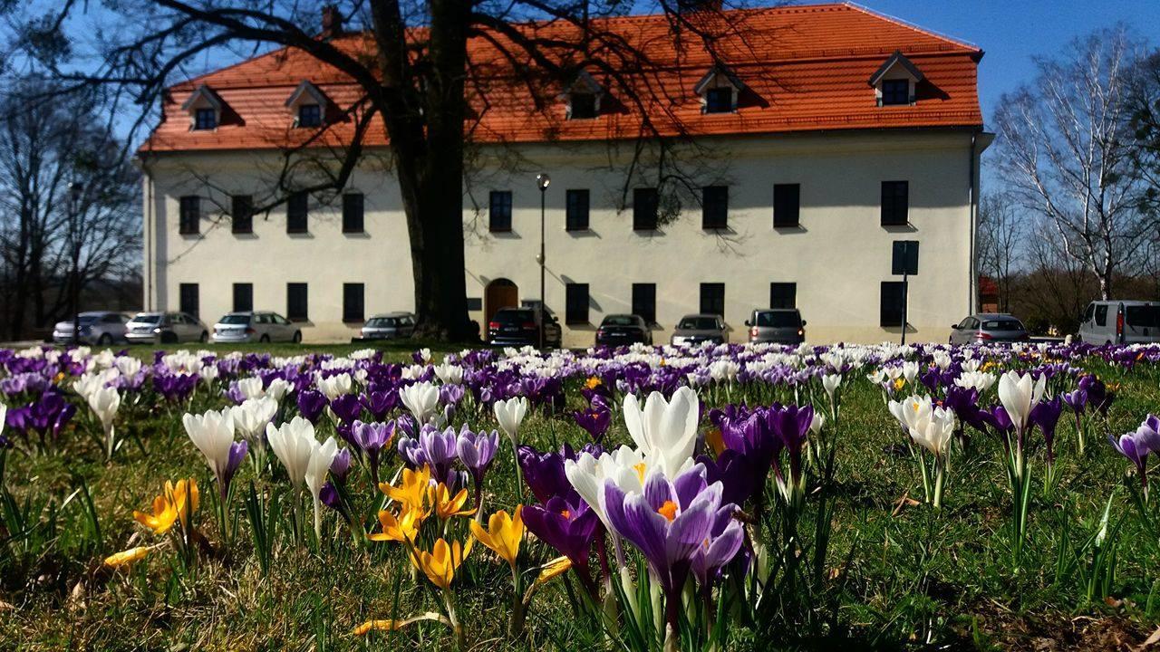 Zamek Havirov Hotel Exterior photo